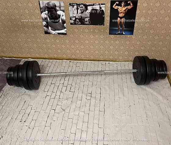 Штанга набірна на 80 кг Гантелі, гирі, штанги і диски в ударостійкому пластику Київ