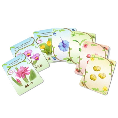 Настольная игра WoodCat ОВВА. Орхидеи! (Oh my. Orchids!) (укр.) (ВР_ОО) Винница - изображение 3
