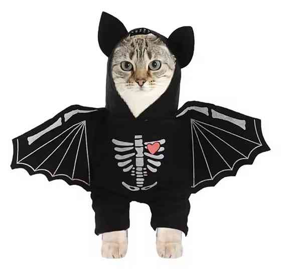 Косплей для собак і котів Кажан S на Хелловін чорний Київ