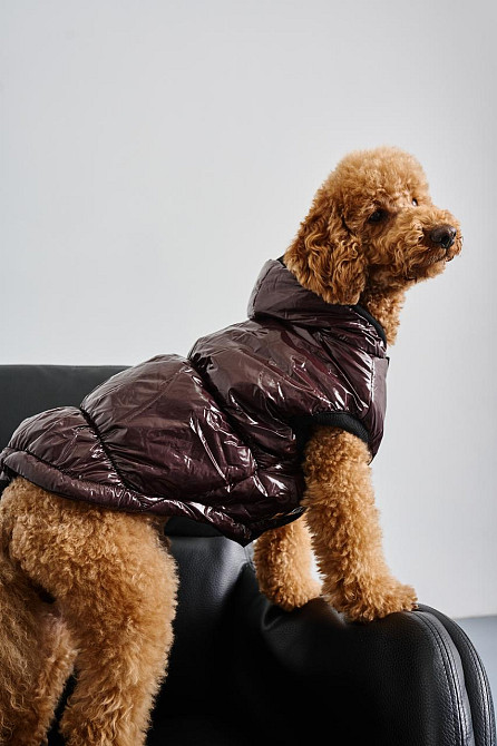 Жилетка для собак лакированная Dogs Bomba утепленная на флисе шоколадный 7 Одесса - изображение 9