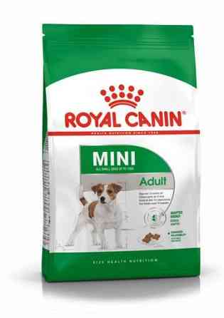 Royal Canin Mini Adult (Рояв Канін Міні Едалт) сухий корм для маленьких дорослих собак 4-10 кілограм від 10 місяців 4 кг. Запоріжжя