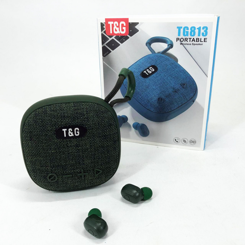 Колонка для вечірок на дачі TG813, Недорогі портативні колонки, Блютуз аудіо приймач QD-67 Львів - фото 10