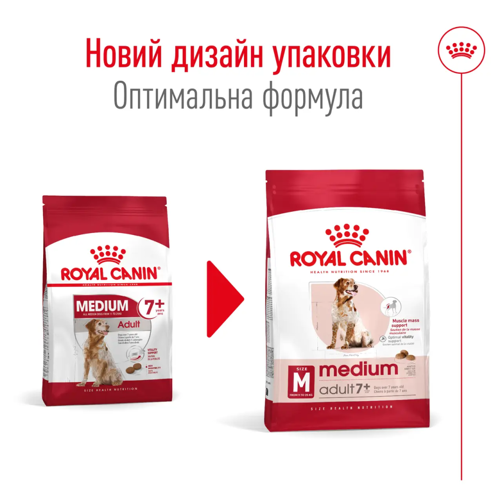 Royal Canin Medium Adult 7+ (Рояв Кенін Медіум Едалт 7+) сухий корм для собак середніх порід від 7 років 4 кг. Запоріжжя - фото 2