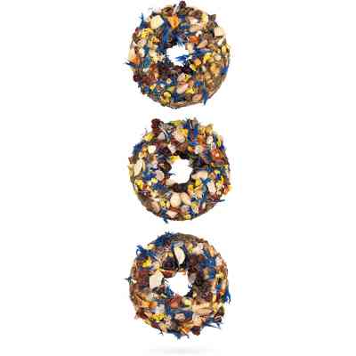 Витамины для грызунов Special One "Цикорий, арахис, барбарис" 60 г (4823082425228) Винница