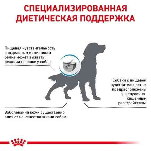 Royal Canin Skin Care (Роял Канін Скін Кер) сухий корм для собак у разі дерматозів і випадання шерсті Запоріжжя