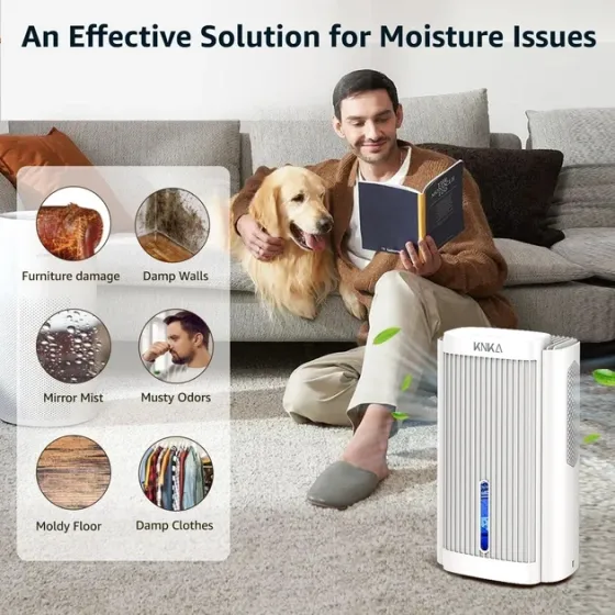 УЦЕНКА! Осушитель очиститель воздуха Dehumidifier KNKA CS06 White Днепр