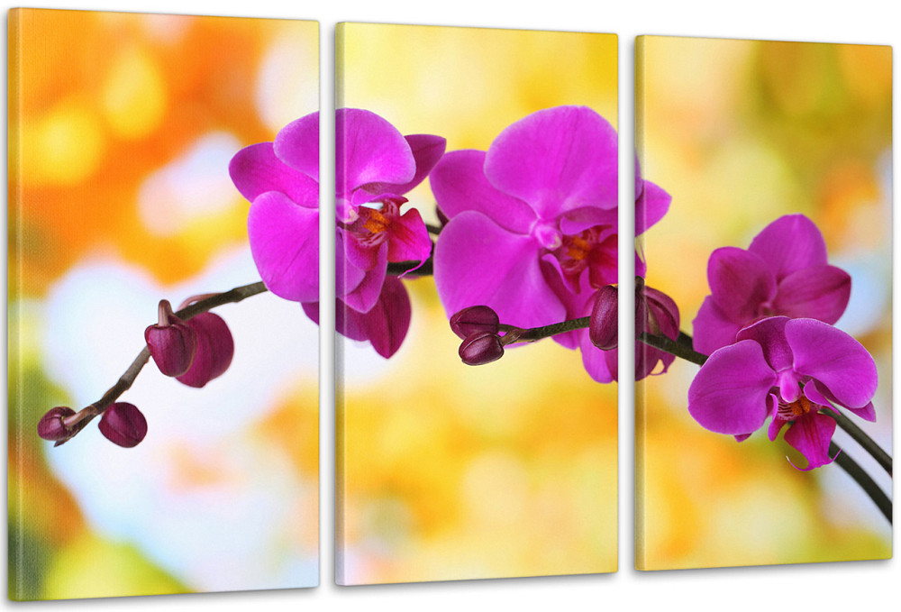 Модульная картина Цветы Орхидея  Аrt-136_3А 70x130 см Киев - изображение 1