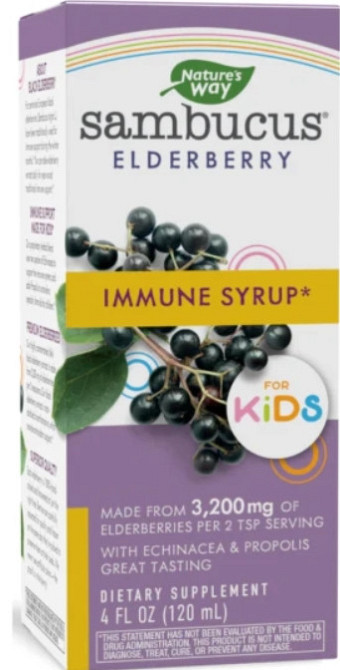 Детский сироп для иммунитета (черная бузина) Nature's Way Sambucus Immune Syrup For Kids 120 мл Киев - изображение 1