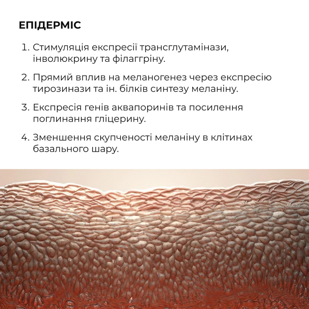 Сыворотка для активного восстановления кожи ReNuAge Retinol Active Renewal Serum Hillary 30 мл Киев - изображение 10