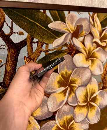 IPhone 12 Pro Max 256Gb Neverlock. Київ