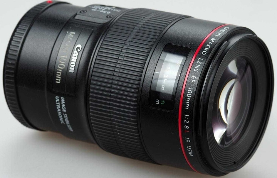 Объектив Стоматология, Природа Canon EF 100mm. F/2.8L Macro IS USM Киев - изображение 8