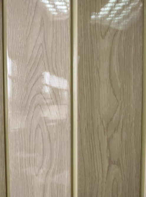 Двері гармошка глуха DiCi Doors  "Секвоя"  810х2030х6мм  DiCI-6 №1019-11 глянець Дніпро - фото 5