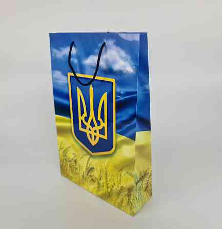 Большой бумажный пакет вертикальный  25/37/8(артBV-189) (12 шт) Харьков