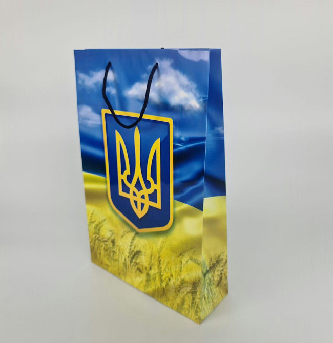 Большой бумажный пакет вертикальный  25/37/8(артBV-189) (12 шт) Харьков - изображение 2