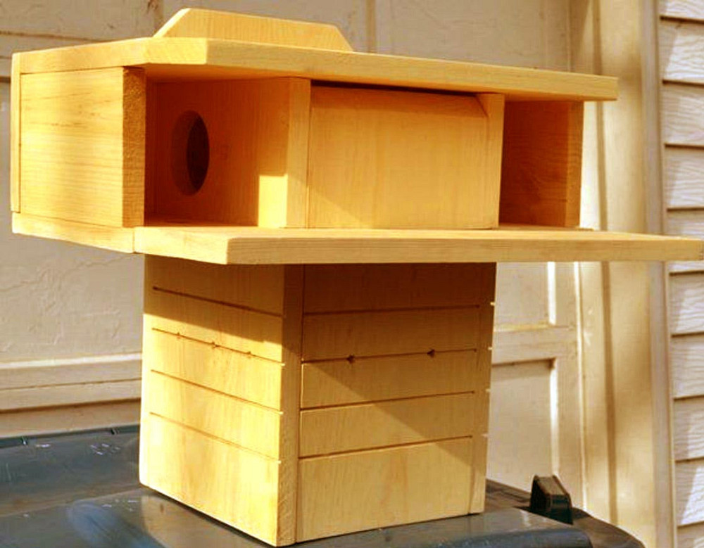 Будиночок для білок "Монго" ваніль Миколаїв - фото 1