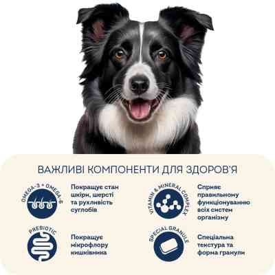 Сухий корм для собак Home Food ADULT MEDIUM/MAXI For active adult and junior dogs з ягням та рисом 300 г (4820290090279) Вінниця
