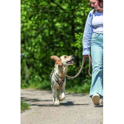 Повідок Trixie Cavo для собак регульований S–M 2 м діаметр 12 мм рожево-пісочний Київ