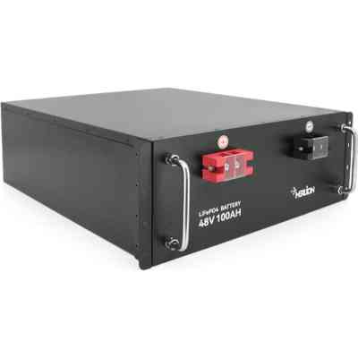 Батарея LiFePo4 Merlion LFP48-100US Винница