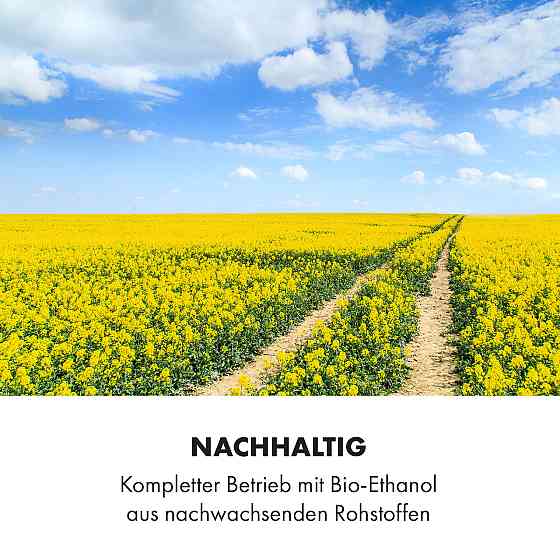 Еталоловий камін Phantasma Manor 3,4 кВт у стилі кантрі МДФ (Німеччина, читати опис) Рівне