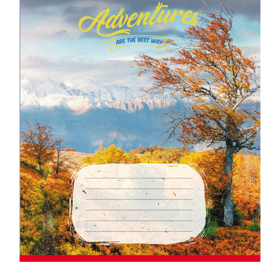 Тетрадь ученическая 