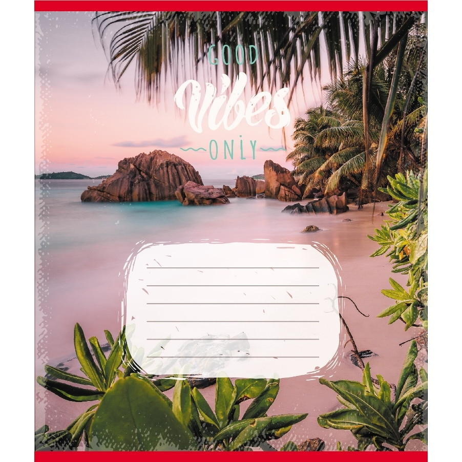 Зошит учнівський "Вайб" 024-550429K-2 в клітинку, 24 аркуші Вінниця - фото 1