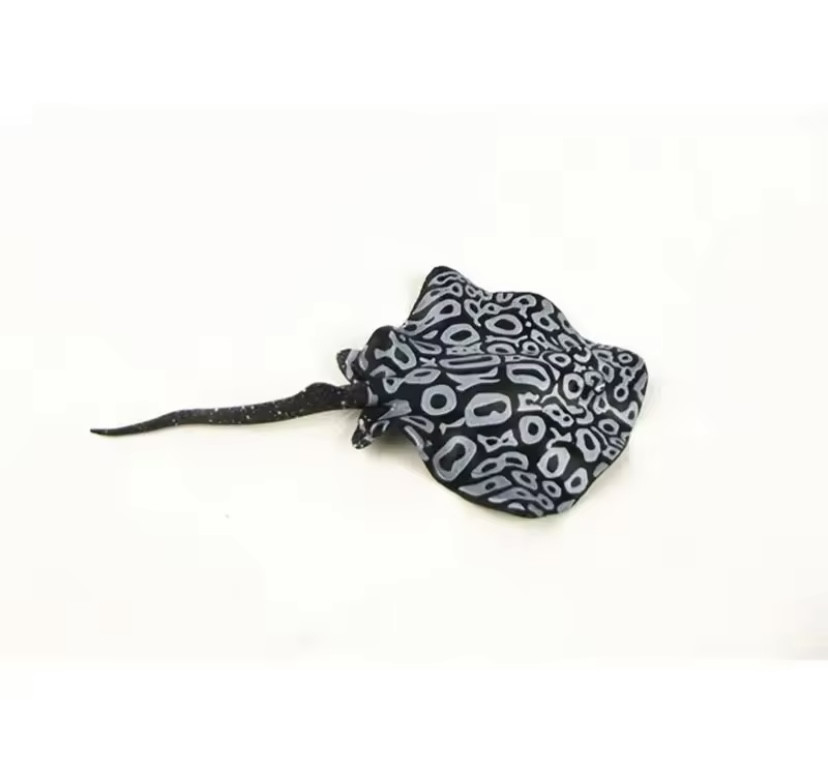 Скат для акваріума штучний силіконовий та люмінесцентний в темноті світяться декор в акваріум розмір 16*9 см чорний Київ - фото 4