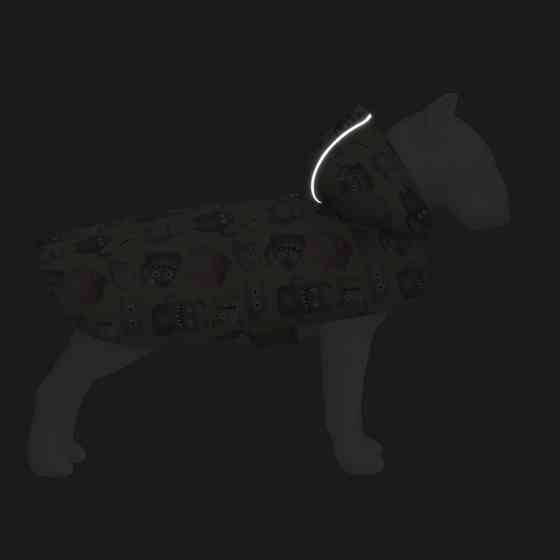 Дощовик-накидка з капюшоном для собак WAUDOG Clothes, малюнок "Мохнаті монстри", XL, А 55-61 см Коломыя