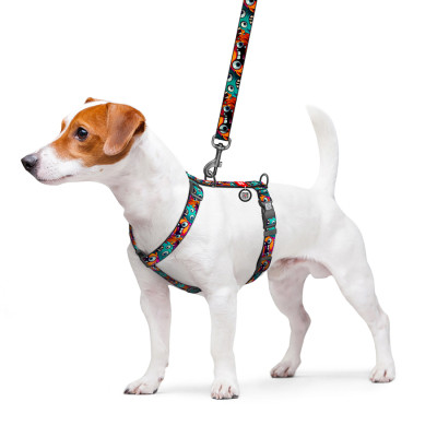 Шлей для собак WAUDOG Nylon анатомическая H-образная с QR-паспортом "Зубастые монстры" пластиковый фастекс, M (344-4048) Винница - изображение 3