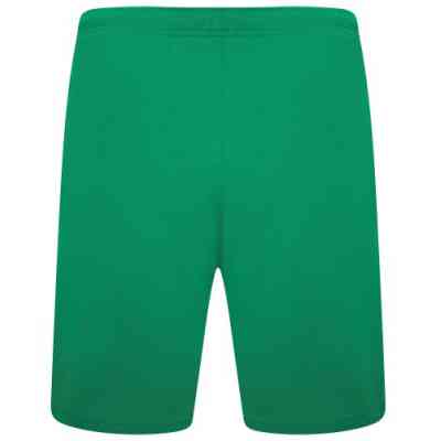 Шорты Puma teamRISE Short 704942-05 зелений XL (4063699209853) Винница