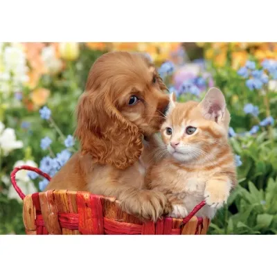 Пазл Clementoni Noli Cute Friends серія MAXI, 104 елементи (25763) Вінниця - фото 2