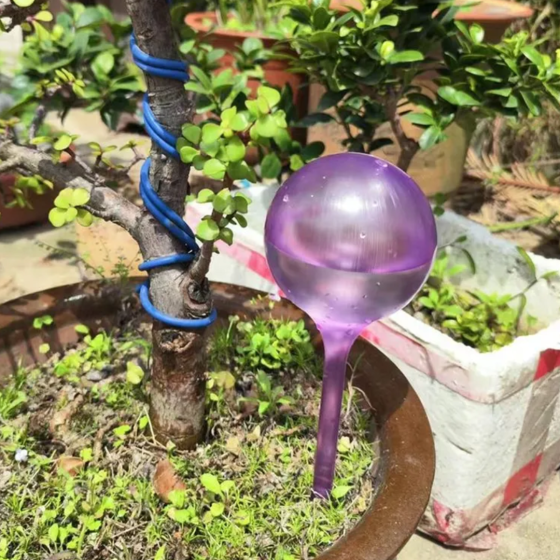 Колба для автоматического полива | Вазон в виде шара для сада, 3шт, капельный автополив, 8×25см, фиолетовый Каменец-Подольский