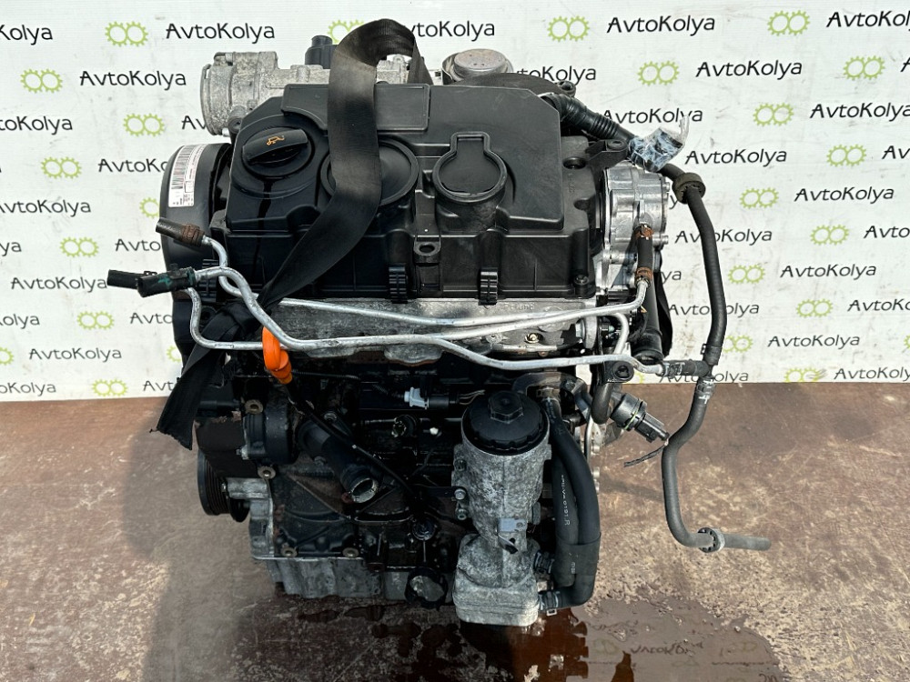 Двигун в зборі VW Passat B6 1.9 tdi 2005-2008 (BLS) Ковель - фото 1