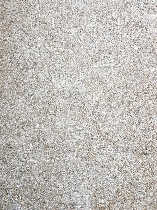 Шпалери вінілові на флізеліні Grandeco Anastasia метрові структурні під штукатурку пісочні бежеві Київ - фото 2