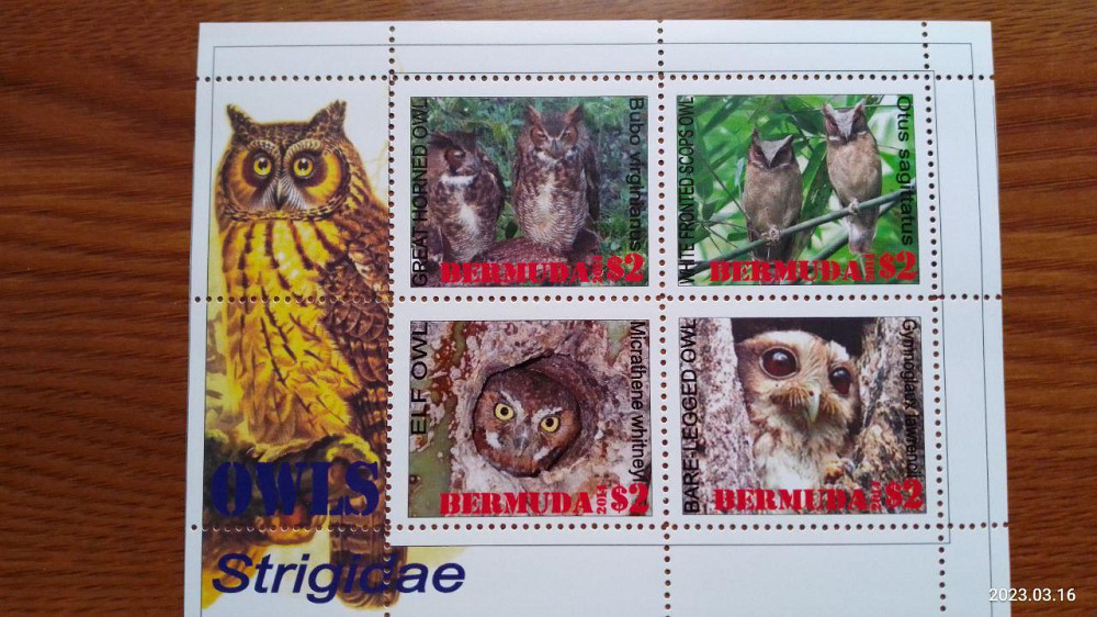 Марки. Фауна. Блок. 2014 рік (Д-2) Полтава - фото 1