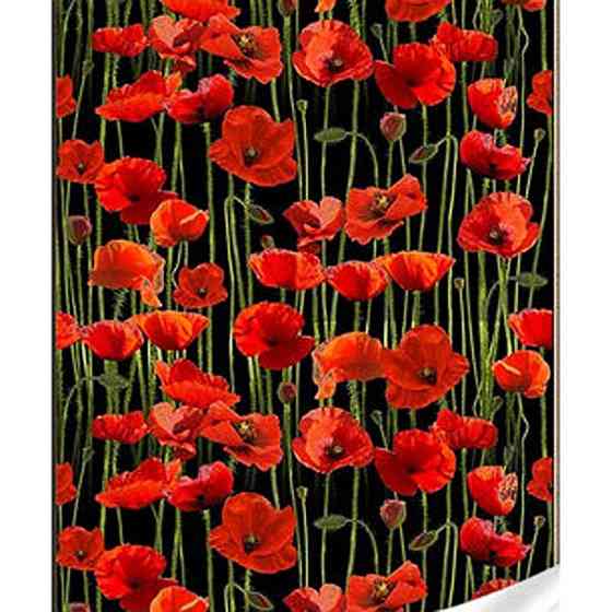 Алмазна мозаїка "Маки на чорному фоні" HEG86881 30х40 см Вінниця