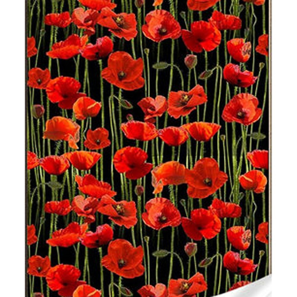 Алмазна мозаїка "Маки на чорному фоні" HEG86881 30х40 см Вінниця - фото 1