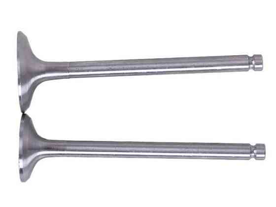 Клапаны на дизельный двигатель мотоблок мотоблок 190N , пара Мукачево