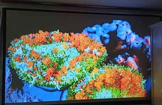 Проектор XIWBSY-T09 Android FUI Харьков