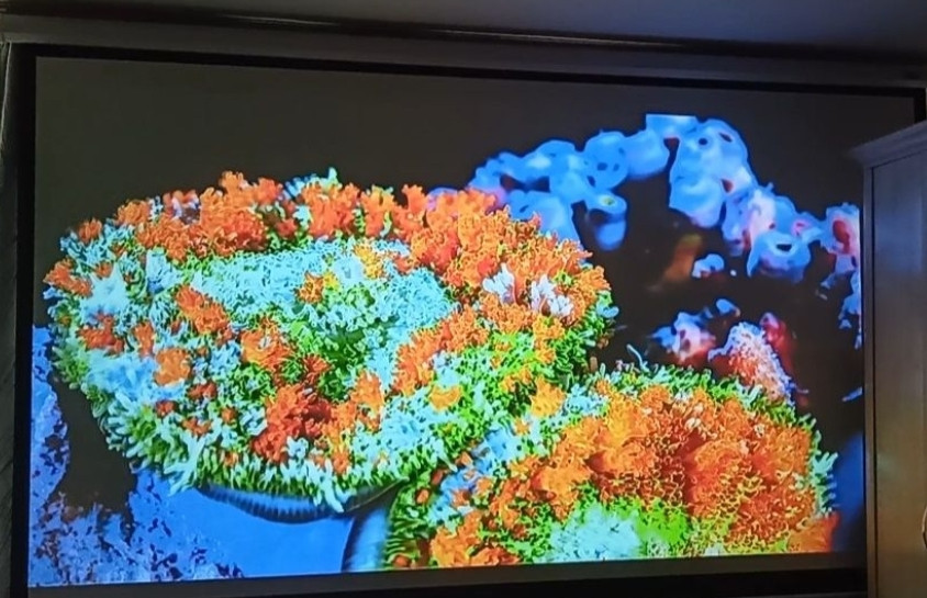 Проектор XIWBSY-T09 Android FUI Харьков - изображение 3