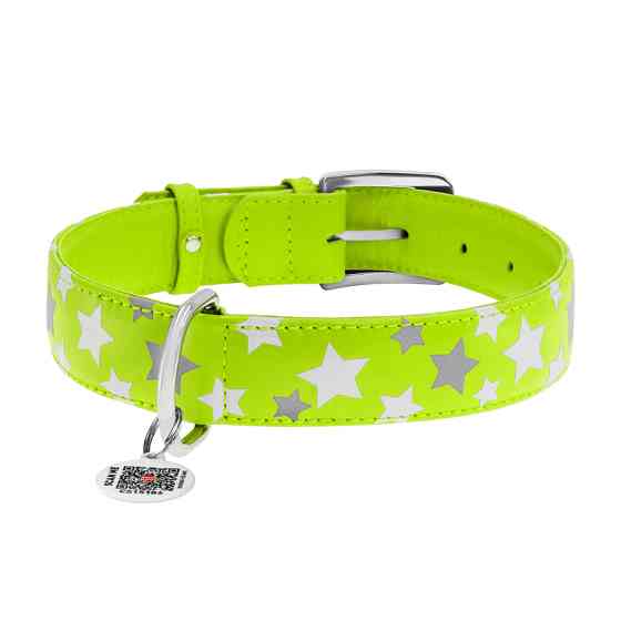 Нашийник для собак шкіряний WAUDOG Glamour з QR паспортом, візерунок "Зірочка", світлонакопичув Коломия