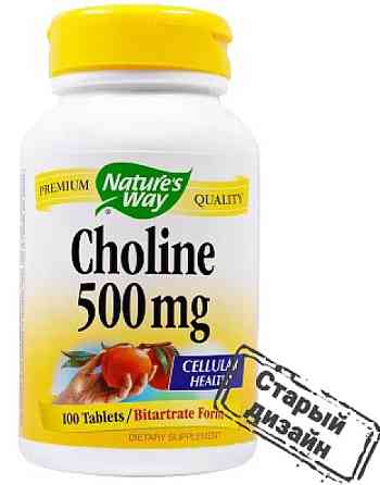 Холин Nature's Way Choline 500 mg 100 табл Киев