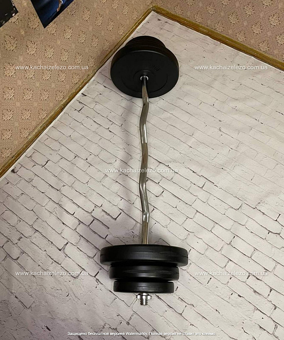 Штанга наборная W-образная на 42 кг Гантели, гири, штанги и диски с пластиковым покрытием Киев - изображение 2