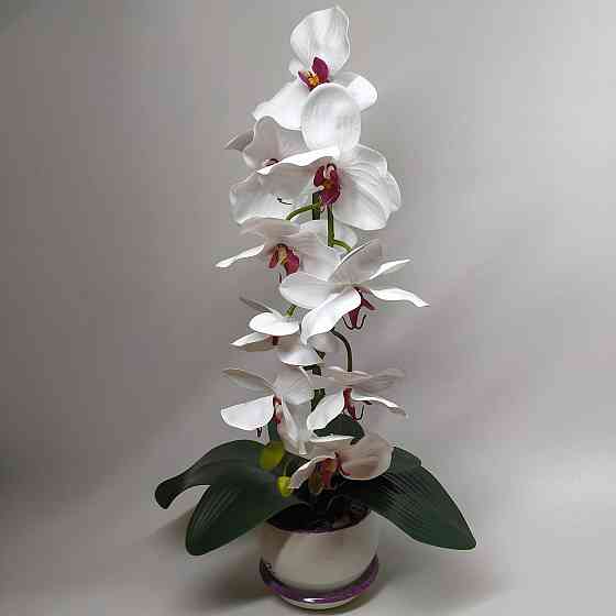 Штучна латексна орхідея VIP у білому керамічному кашпо на одну гілку біла Дніпро
