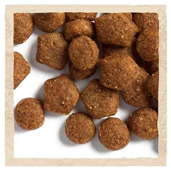 Сухой корм DOG CHOW Puppy  Киев