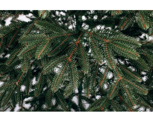 Литая Бельгийская елка с густой хвоей (Зеленая) 1.9м Винница - изображение 3