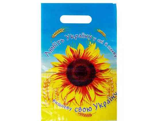 Пакеты с вырубной ручкой (20*30) 