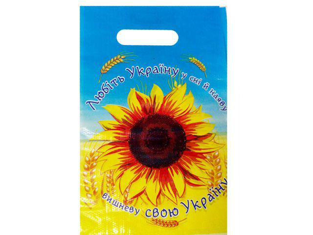 Пакеты с вырубной ручкой (20*30) 