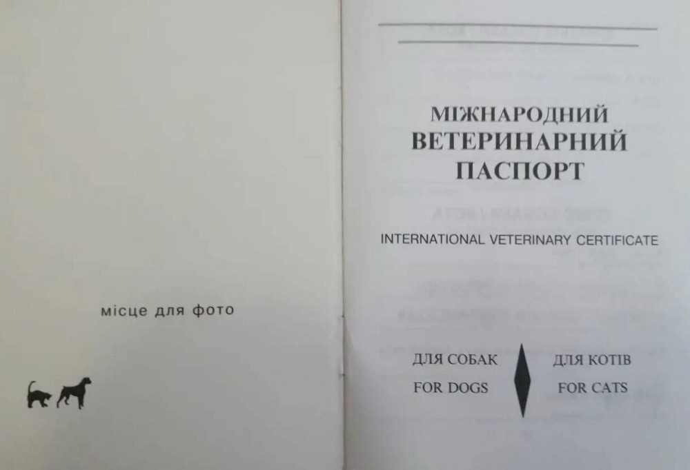 Україна Міжнародний ветеринарний паспорт для собак і кішок Київ - фото 2