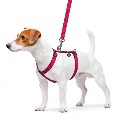 Шлей для собак WAUDOG Nylon с QR паспортом анатомическая H-образная "Арбуза" L (5562) Винница - изображение 3