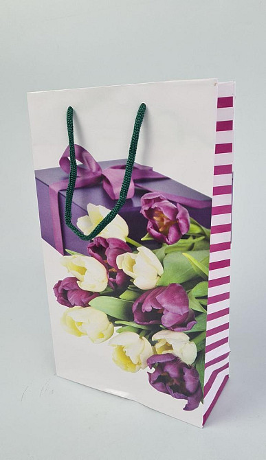 Бумажный пакет подарочный Средний 17/26/8(артSV-142 ) (12 шт) Харьков - изображение 1